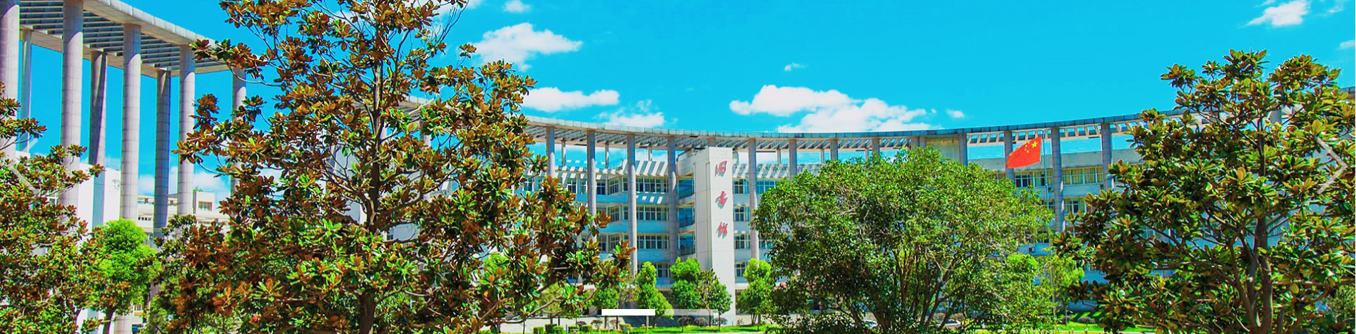 qy球友会